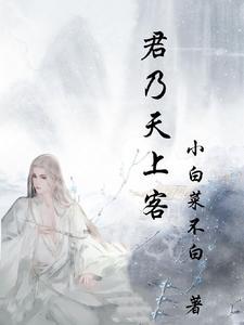 天上客对下联